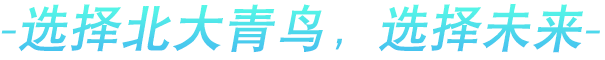 选择北大青鸟，选择未来